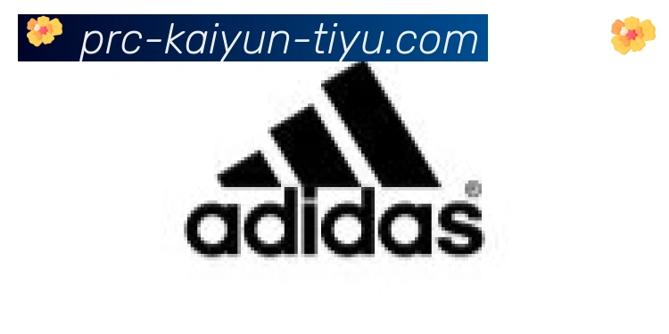 ky开云合作伙伴